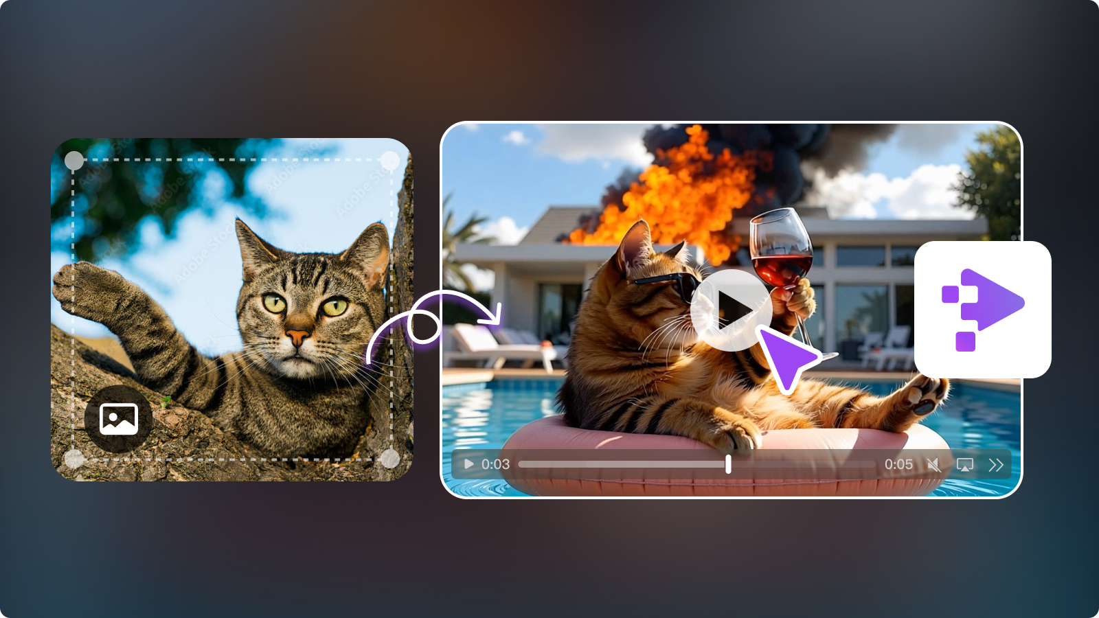 Funny Cat Videos: Create Hilarious Clips with PixPop AI